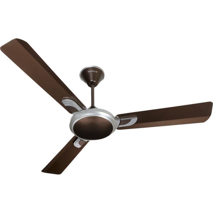 Fans