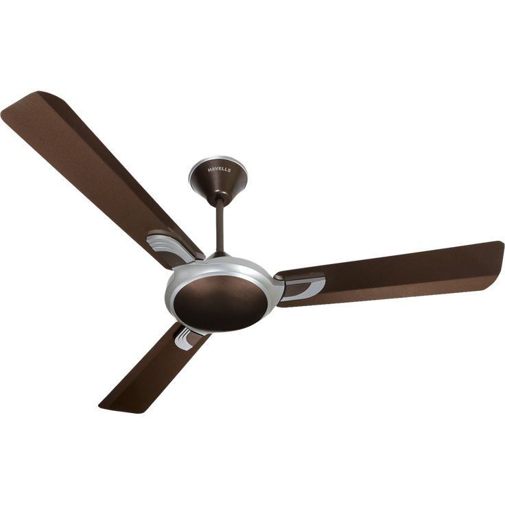Fans product showcase